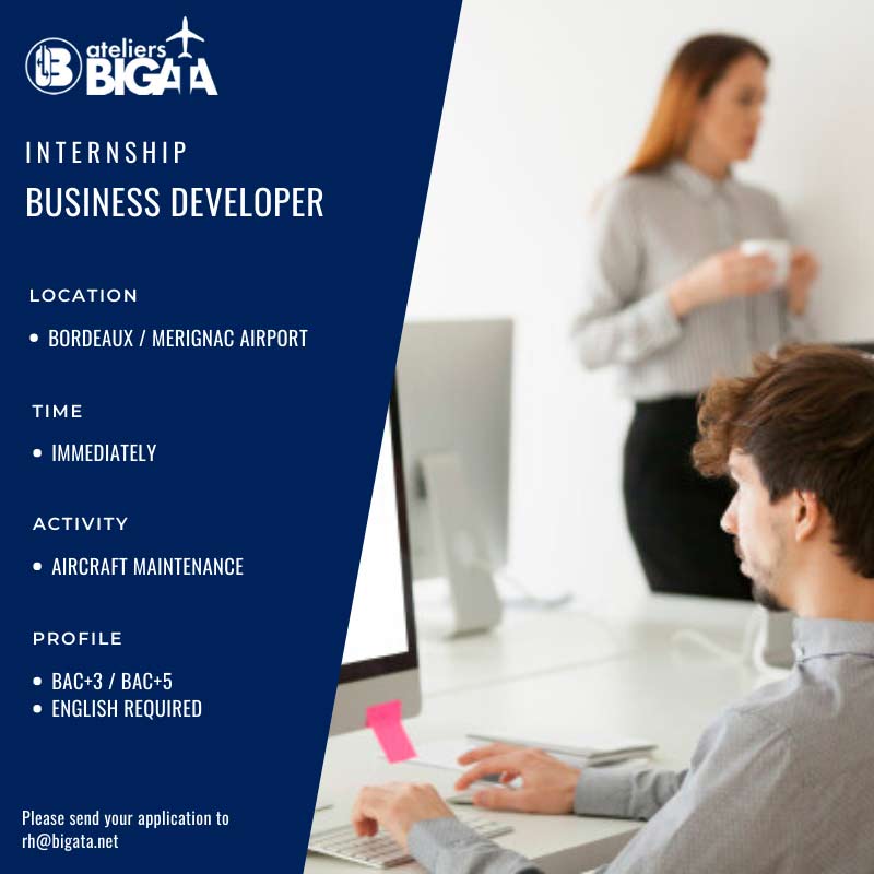 bigata-business-developer-jobs